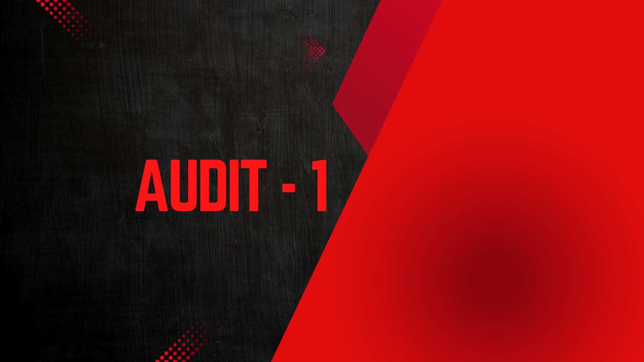 AUDIT - 1